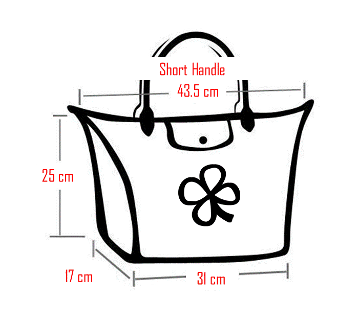 Longchamp Handbag Dimensions | CloverSac