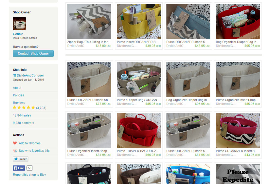 DivideAndConquer-purse-organizer-insert-Etsy