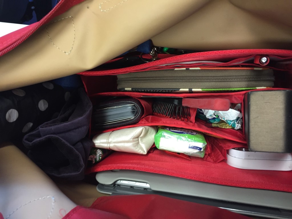 Purse Organizer Insert for Longchamp Le Pliage (Photo)-3